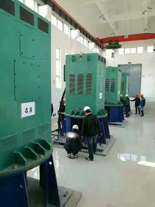 西安西玛某污水处理厂使用我厂的立式高压电机安装现场